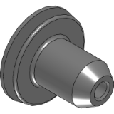 WNPL - Blind rivet nuts large flange